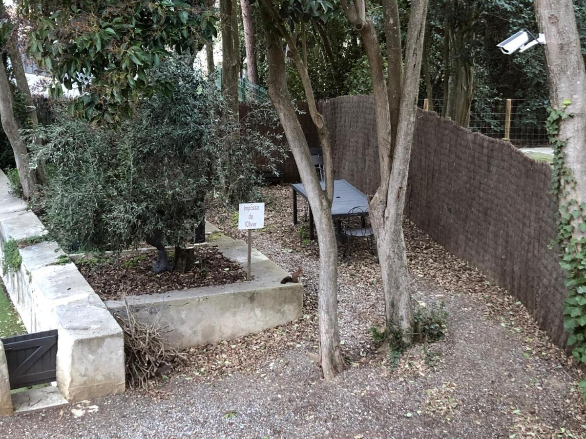 Au Vieux Lavoir Avec Parking Prive, Jardin , Climatisation, A 500 M De La Cite Carcasona Exterior foto